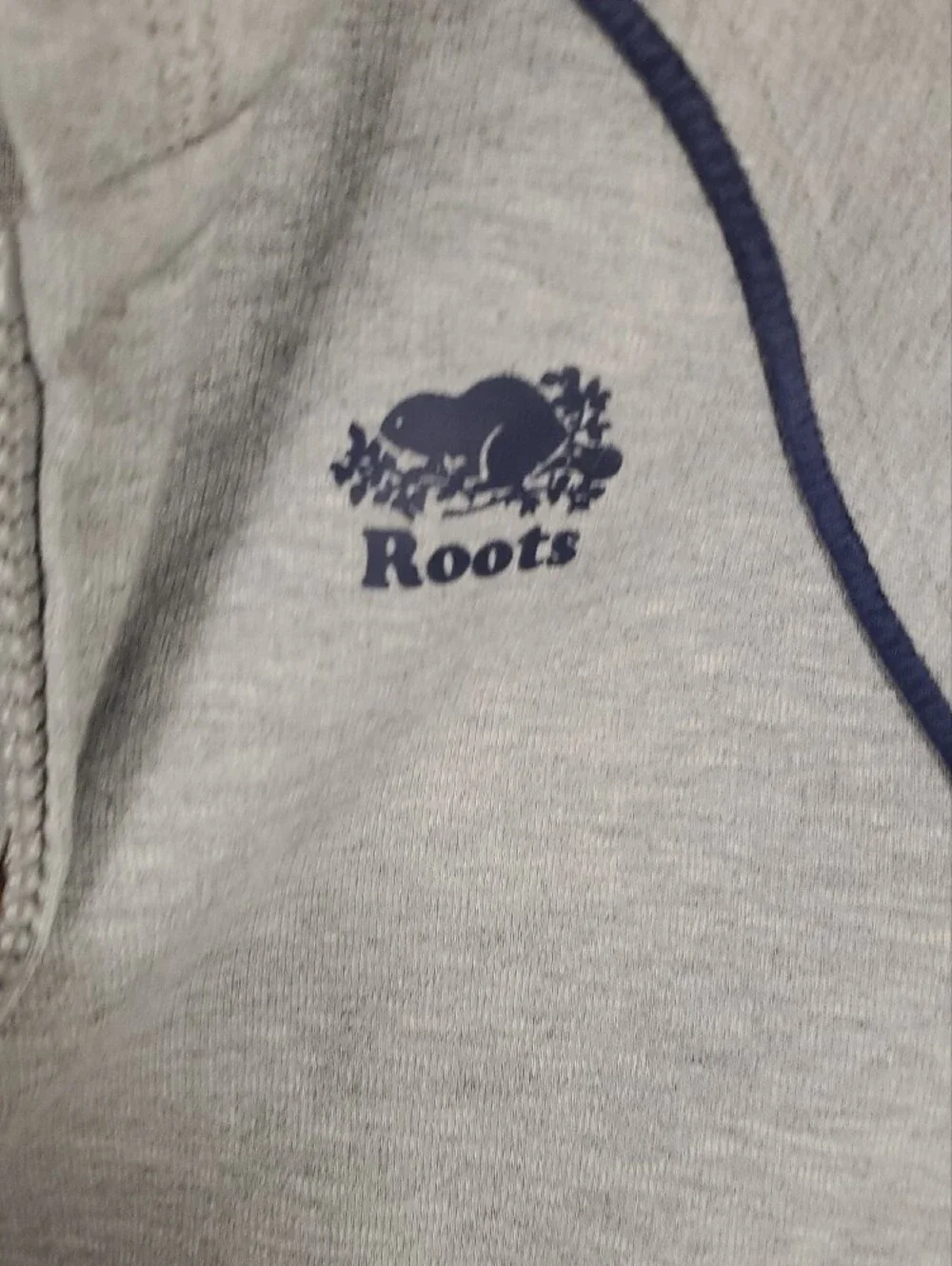 Roots Kids Light Gray Hoodie with Navy Trim